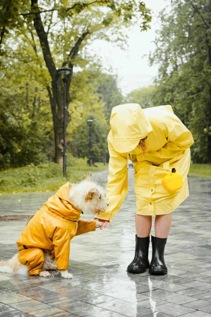 Lady take her pet hand