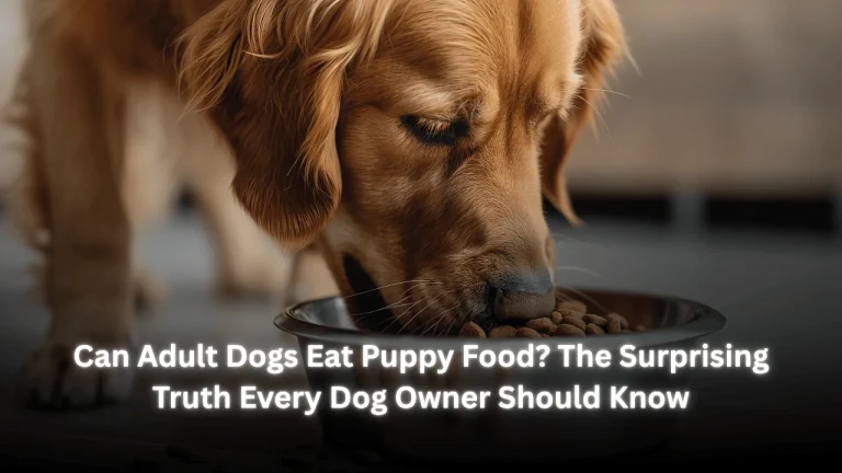 Can Adult Dogs Eat Puppy Food? The Surprising Truth Every Dog Owner Should Know Featured Image