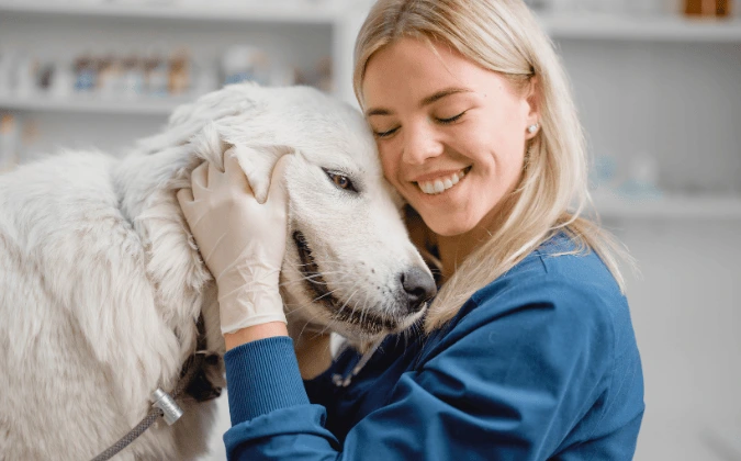 Vet explaining if adult dogs can eat puppy food