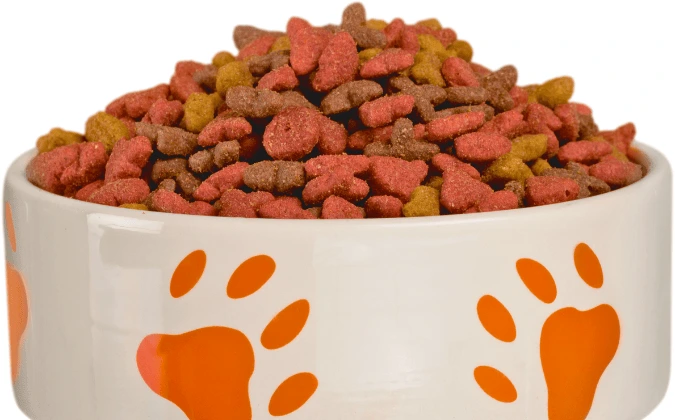 Proper portion of adult dog food for balanced diet