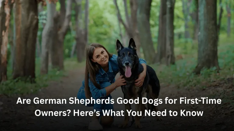 Are German Shepherds Good Dogs for First-Time Owners? Here’s What You Need to Know Featured image