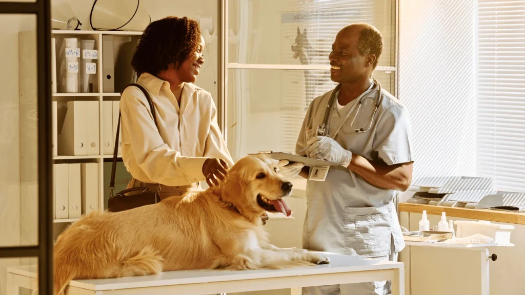A vet advising a pet owner,