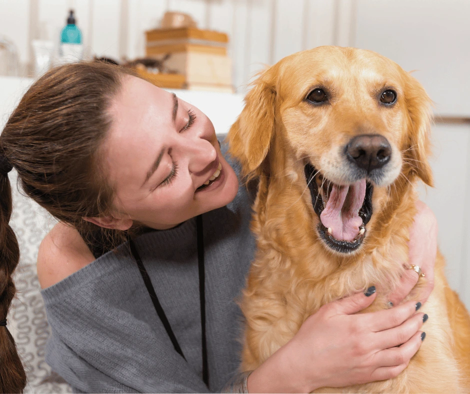 Happy dog showing signs of recovery after dental surgery