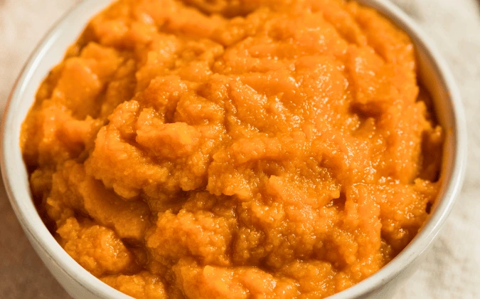 Chicken & pumpkin puree