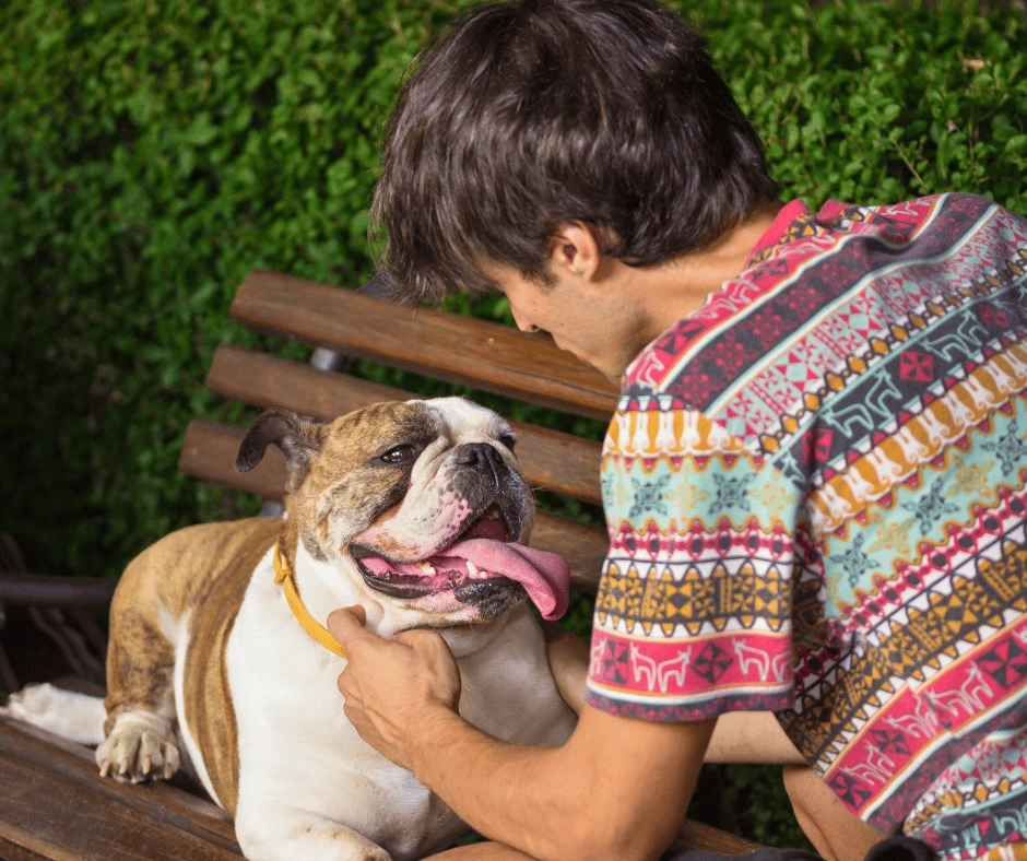 Happy Bulldogs with their owners